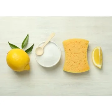 Citric Acid Powder for Cleaning and Canning 2 lb