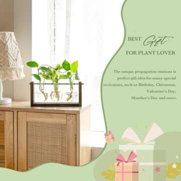 Mkono Plant Propagation Station with Wooden Stand, Wall Hanging Glass Planter Tabletop Terrarium Bul...