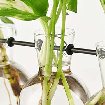 Mkono Plant Propagation Station with Wooden Stand, Wall Hanging Glass Planter Tabletop Terrarium Bulb Vase for Hydroponics Plants Home Office Decor