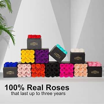 Perfectione Roses Preserved Roses in a Box, Dusty Rose Real Roses Long-Lasting Rose Valentines Day G...