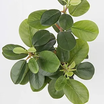 Lifelike Briful Artificial Camellia Plants for Any Decor