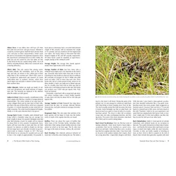 Master Deer Hunting Techniques with Shooter's Bible Guide