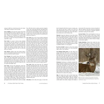 Master Deer Hunting Techniques with Shooter's Bible Guide