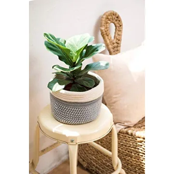 Dahey Jute Cotton Rope Plant Basket Mini Woven Storage Basket for Up to 7" Planter, Decorative Flower Pot Cover Closet Storage Bin Table Desk Organizer Modern Home Decor, Grey