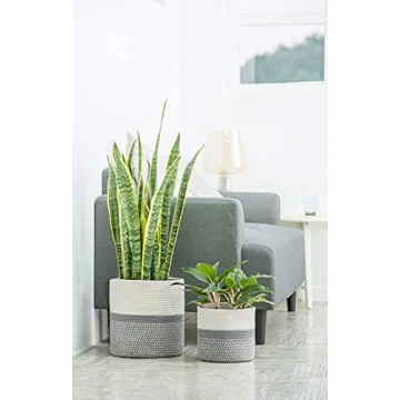 Dahey Jute Cotton Rope Plant Basket Mini Woven Storage Basket for Up to 7" Planter, Decorative Flower Pot Cover Closet Storage Bin Table Desk Organizer Modern Home Decor, Grey