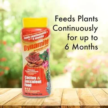 Dynamite 82170 Sun Bulb Cactus & Succulent Food for Robust Growth and Vibrant Healthy Plants