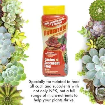 Dynamite Cactus & Succulent Food for Vibrant Plants