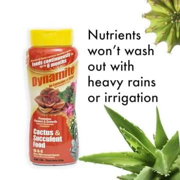 Dynamite Cactus & Succulent Food for Vibrant Plants