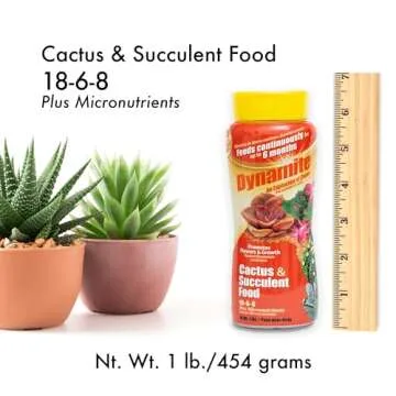 Dynamite Cactus & Succulent Food for Vibrant Plants