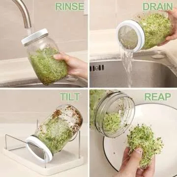 Seed Sprouting Kit, 2 Large Wide Mouth Mason Jars with Sprout Lids, Blackout Sleeves, Drain Tray, Stainless Steel Stand, Sprouts Growing Kit for Bean, Broccoli, Alfalfa (White)