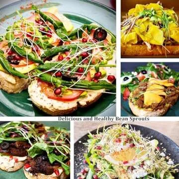 Seed Sprouting Kit, 2 Large Wide Mouth Mason Jars with Sprout Lids, Blackout Sleeves, Drain Tray, Stainless Steel Stand, Sprouts Growing Kit for Bean, Broccoli, Alfalfa (White)