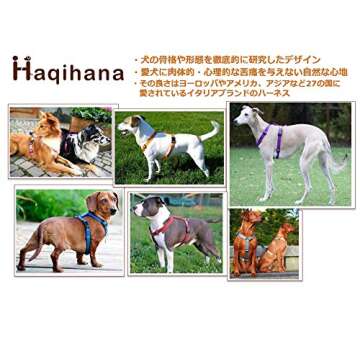 Haqihana Multicolour Harness Medium