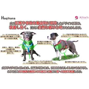 Haqihana Multicolour Harness Medium