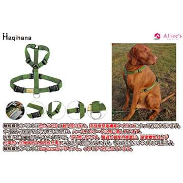 Haqihana Multicolour Harness Medium