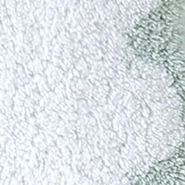 Comfortable Peri Home Scallop Bath Rug in Sage Green