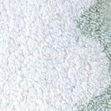 Comfortable Peri Home Scallop Bath Rug in Sage Green