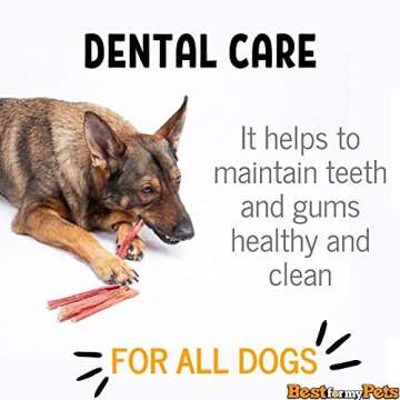 Best For My Pets Tripe Sticks for Dogs (5-Inch, 6-Ounce) Great for Puppies, Senior and Small Dogs All-Natural Rawhide-Free Dog Treats Bladder Sticks Chews