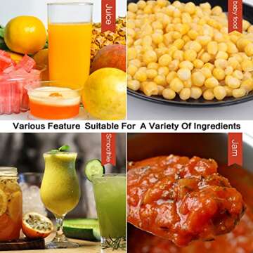 La Reveuse Personal Smoothies Blender - Portable 300 Watts