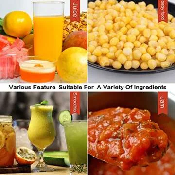 La Reveuse Personal Smoothies Blender - Portable 300 Watts