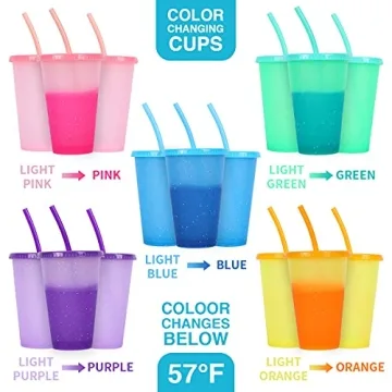 heincar Plastic Tumblers with Lids & Straws 16oz - 5 Pack Reusable Party Drinking Cup BPA free Cold Coffee Tumbler | Color Changing Cups for Kids & Adults