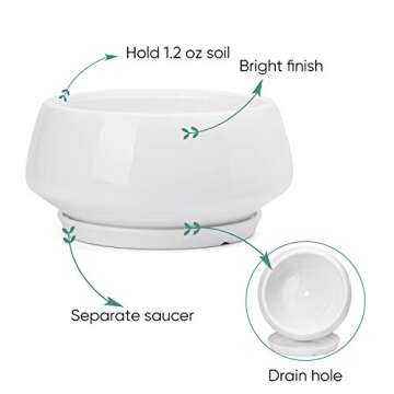 Greenaholics White Ceramic Plant Pot - 8.8 Inch Indoor Wide Planter Large Round Bowl Pots with Saucer and Drainage Hole for Scindapsus Aureum and Ivy Vine