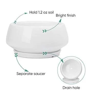 Greenaholics White Ceramic Plant Pot - 8.8 Inch Indoor Wide Planter Large Round Bowl Pots with Saucer and Drainage Hole for Scindapsus Aureum and Ivy Vine