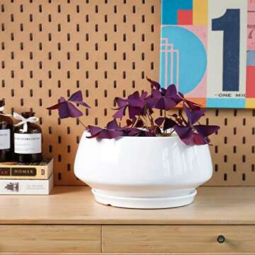 Greenaholics White Ceramic Plant Pot - 8.8 Inch Indoor Wide Planter Large Round Bowl Pots with Saucer and Drainage Hole for Scindapsus Aureum and Ivy Vine