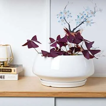 Greenaholics White Ceramic Plant Pot - 8.8 Inch Indoor Wide Planter Large Round Bowl Pots with Saucer and Drainage Hole for Scindapsus Aureum and Ivy Vine