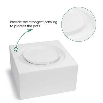 Greenaholics White Ceramic Plant Pot - 8.8 Inch Indoor Wide Planter Large Round Bowl Pots with Saucer and Drainage Hole for Scindapsus Aureum and Ivy Vine