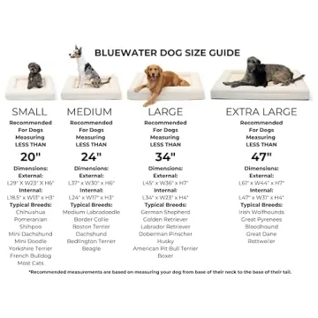 Bluewater Boucle Orthopedic Memory Foam Dog Bed