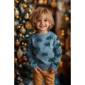 DDSOL Toddler Boys Long Sleeve Graphic Sweatshirt