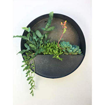 Round Hanging Wall Vase Planter for Indoor Plants in Gift Box