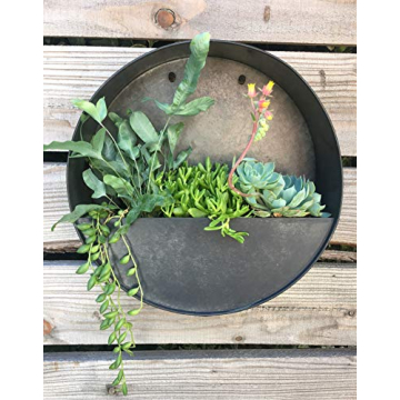 Round Hanging Wall Vase Planter for Indoor Plants in Gift Box