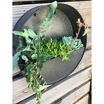 Round Hanging Wall Vase Planter for Indoor Plants in Gift Box
