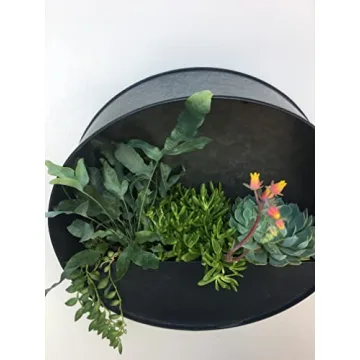 Round Hanging Wall Vase Planter for Indoor Plants in Gift Box