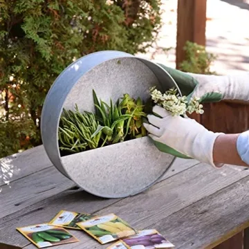 Round Hanging Wall Vase Planter for Indoor Plants in Gift Box