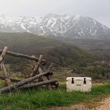 Lifetime 65 Quart Cooler Durable Bear Resistant