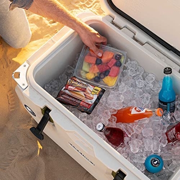 Lifetime 65 Quart Cooler Durable Bear Resistant