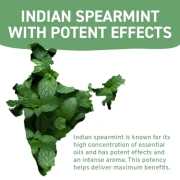 HANDPICK Spearmint Tea Bags - 100 Herbal Tea Bags