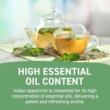 HANDPICK Spearmint Tea Bags - 100 Herbal Tea Bags