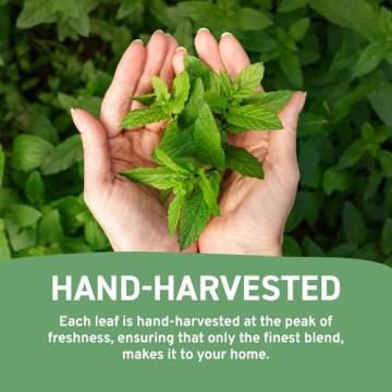 HANDPICK Spearmint Tea Bags - 100 Herbal Tea Bags