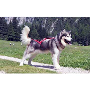 Neewa Pro Sled Dog Harness (Pink, Large (Neck 18 Chest 32 Back 21))