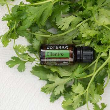 doTERRA Cilantro Essential Oil 15 mL with Detox Benefits