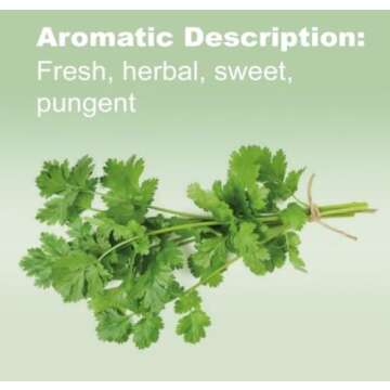 doTERRA Cilantro Essential Oil 15 mL with Detox Benefits