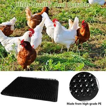 Chicken Nesting Pads with Fake Eggs for Poultry
