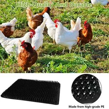 Chicken Nesting Pads with Fake Eggs for Poultry