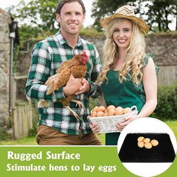 Chicken Nesting Pads with Fake Eggs for Poultry