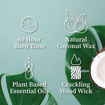 Hemlock Park Candles with Natural Coconut Wax for Cozy Vibes