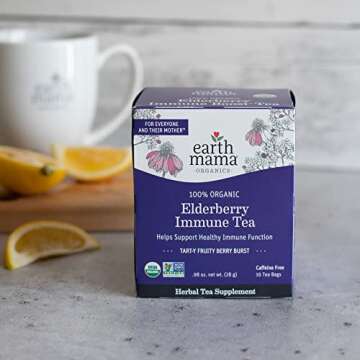 Earth Mama's Organic Elderberry Immune Tea 16-Count