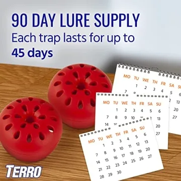 Terro Fruit Fly Trap 4 Pack with 180 Days Lure Supply